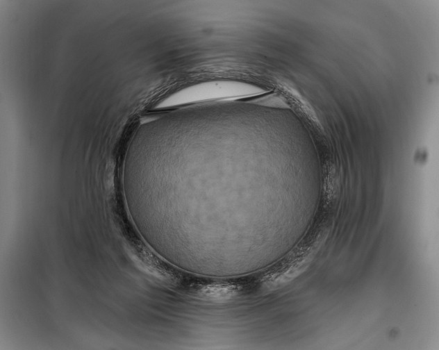 X0000098010213200804181144