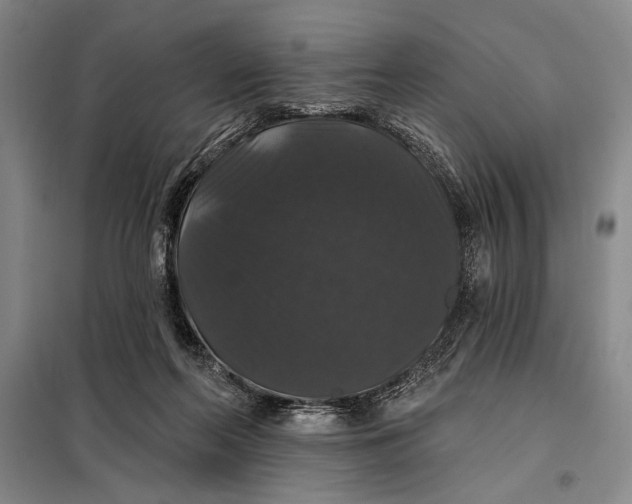 X0000098010214200804181144