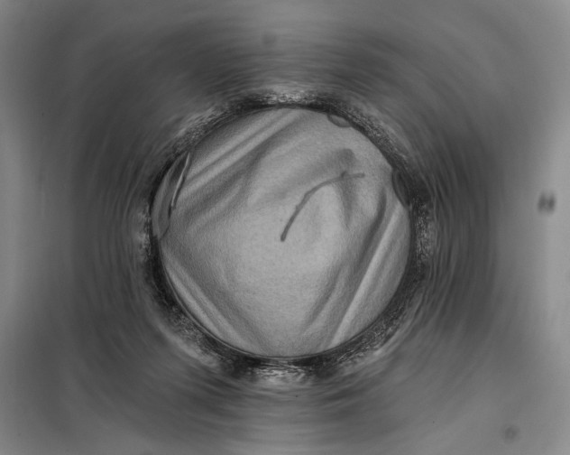 X0000098010215200804181144