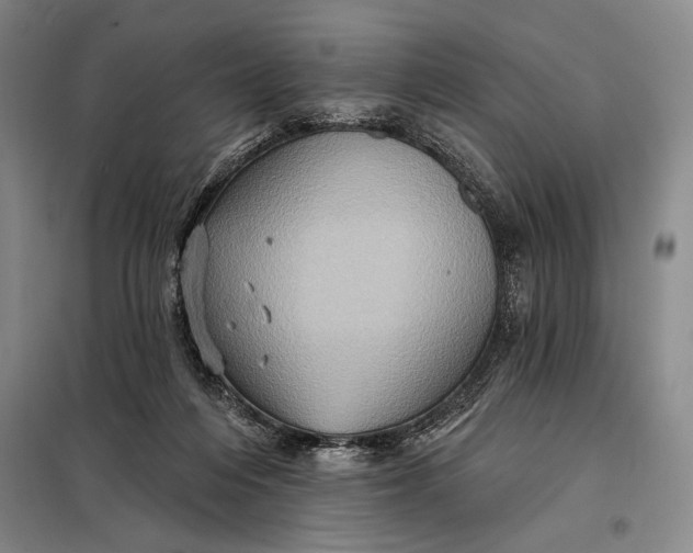 X0000098010216200804181144