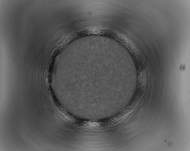 X0000098010217200804181144