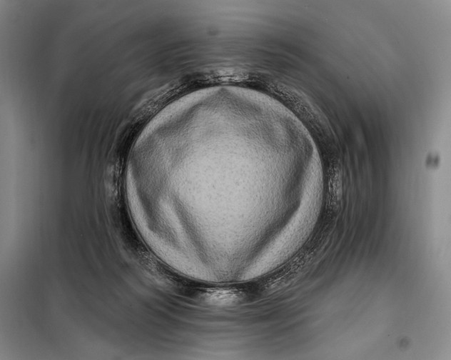 X0000098010218200804181144