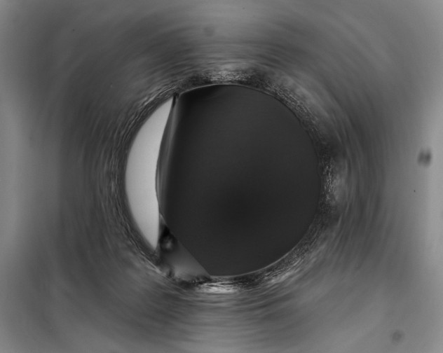 X0000098010219200804181144