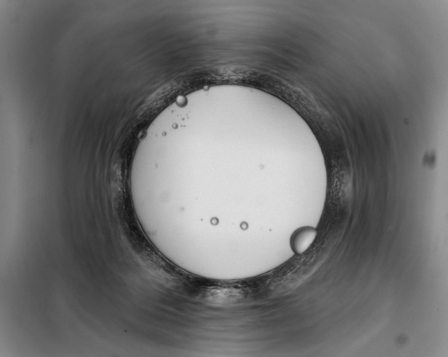 X0000098010220200804181144