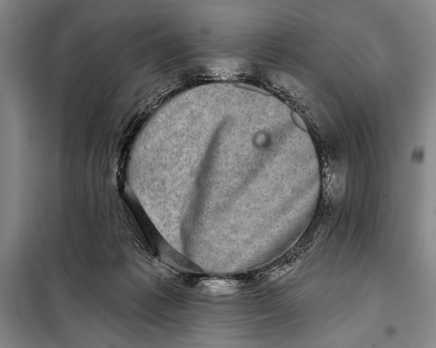 X0000098010221200804181144