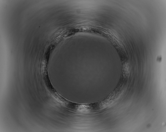 X0000098010222200804181144