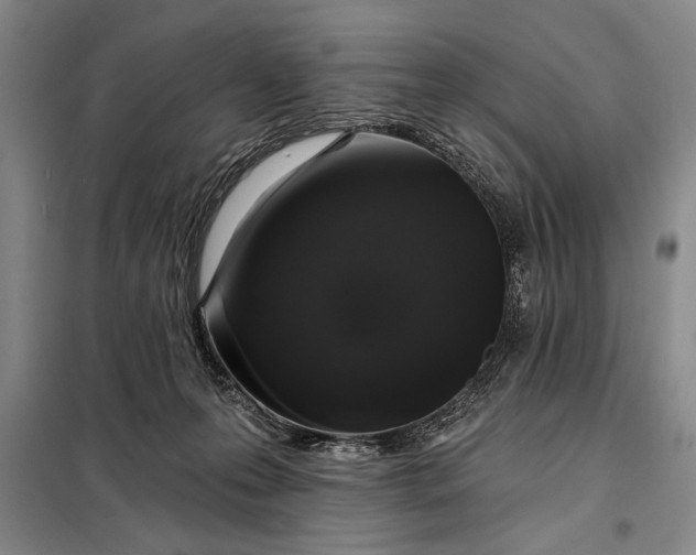 X0000098010223200804181144