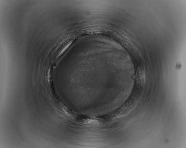 X0000098010224200804181144