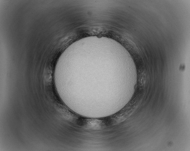 X0000098010226200804181144