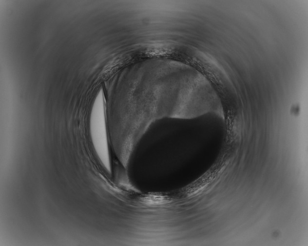 X0000098010227200804181144