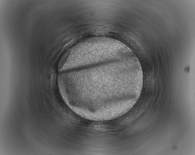 X0000098010228200804181144