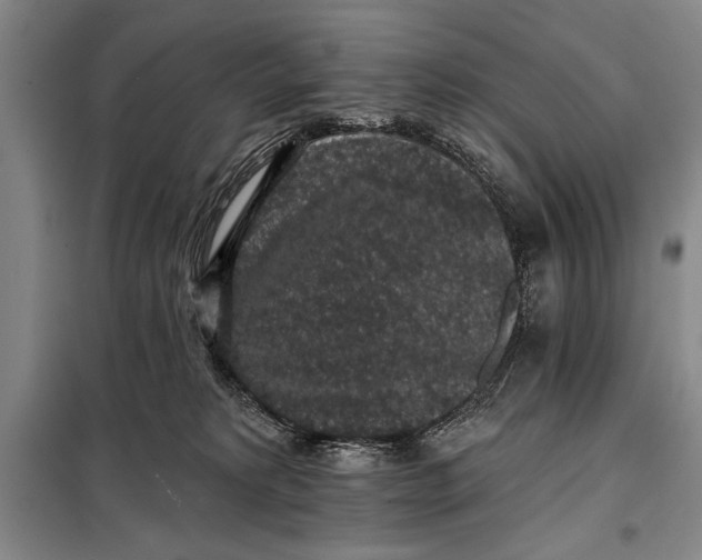 X0000098010229200804181144