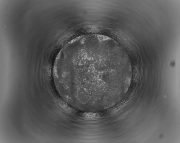 X0000098010230200804181144