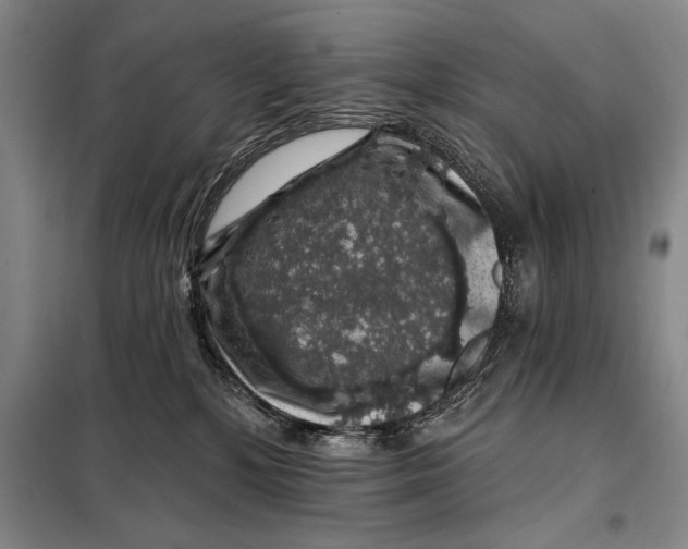 X0000098010232200804181144