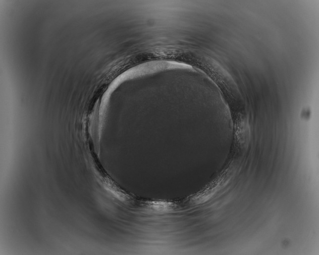 X0000098010233200804181144