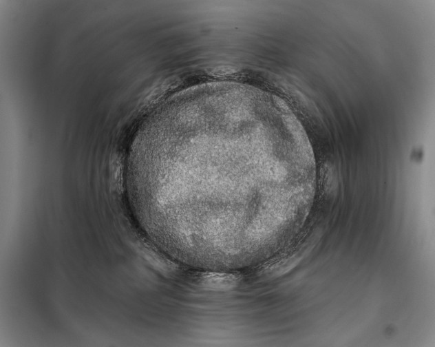 X0000098010234200804181144