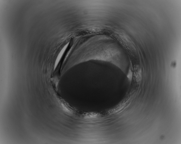 X0000098010235200804181144