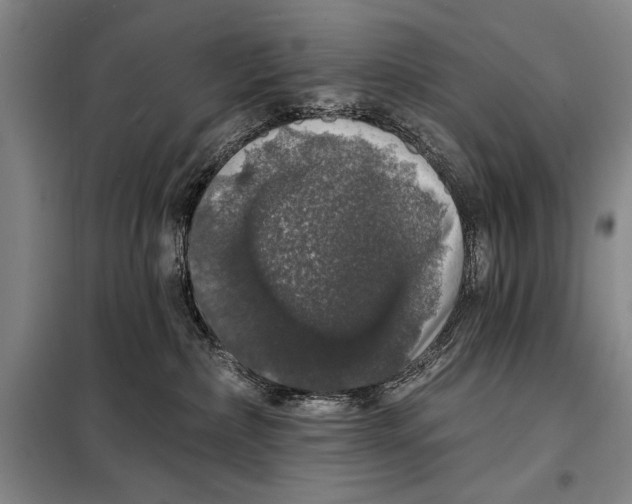 X0000098010236200804181144