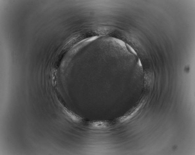 X0000098010237200804181144