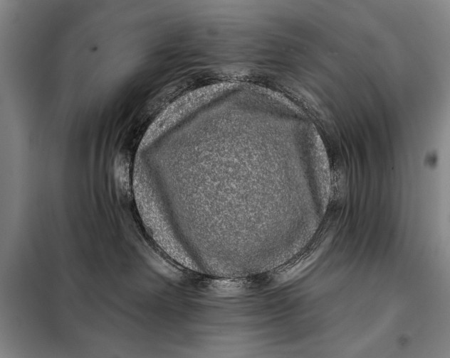 X0000098010238200804181144