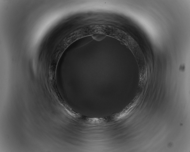 X0000098010239200804181144