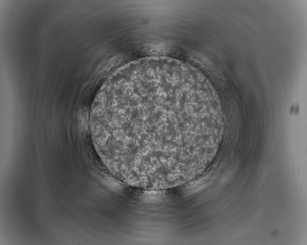 X0000098010240200804181144