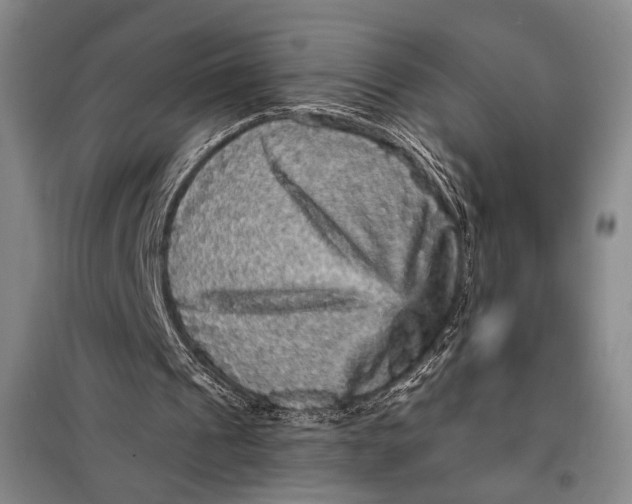 X0000098010241200804181143