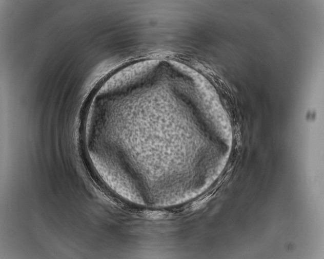 X0000098010242200804181143