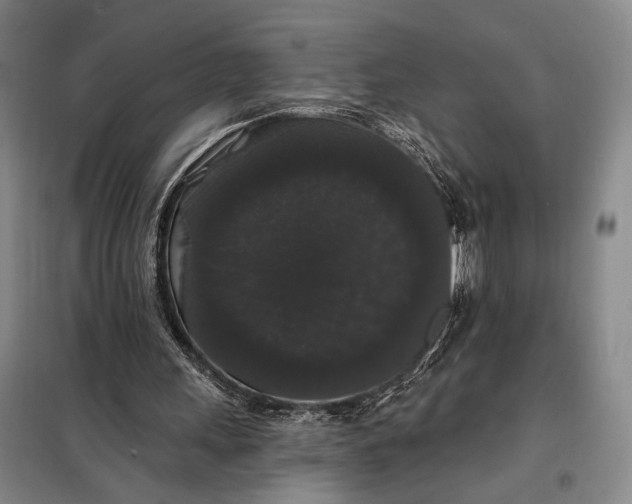 X0000098010243200804181143