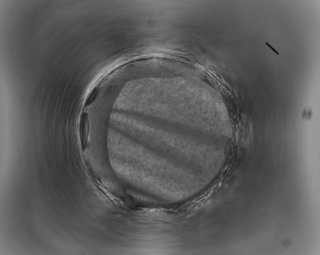 X0000098010244200804181143