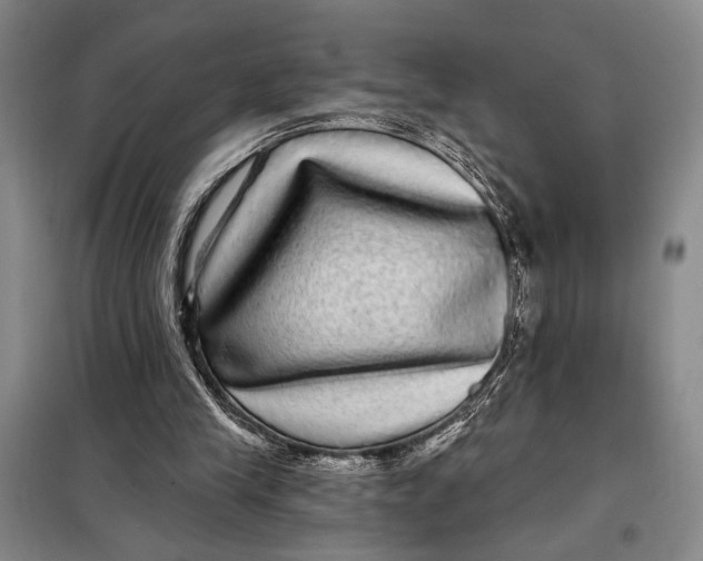 X0000098010245200804181143