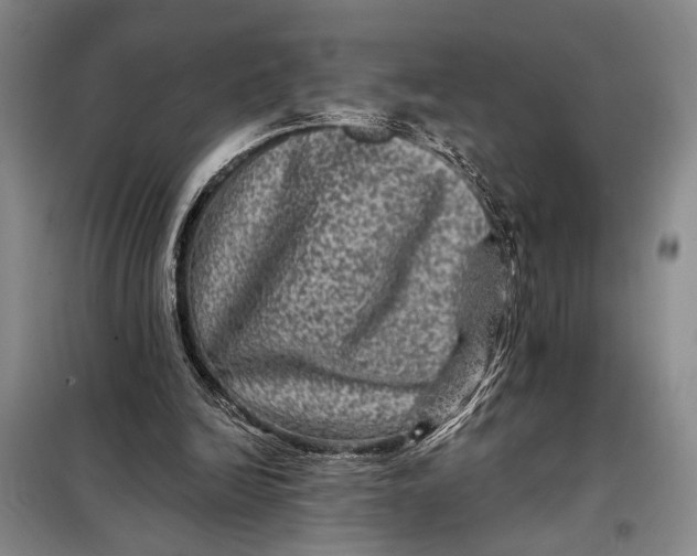 X0000098010246200804181143