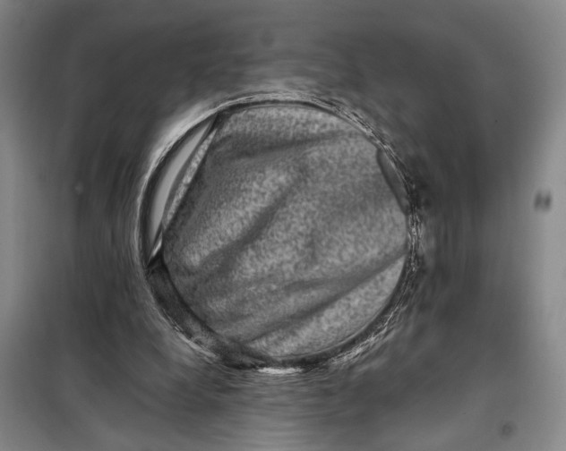 X0000098010248200804181143