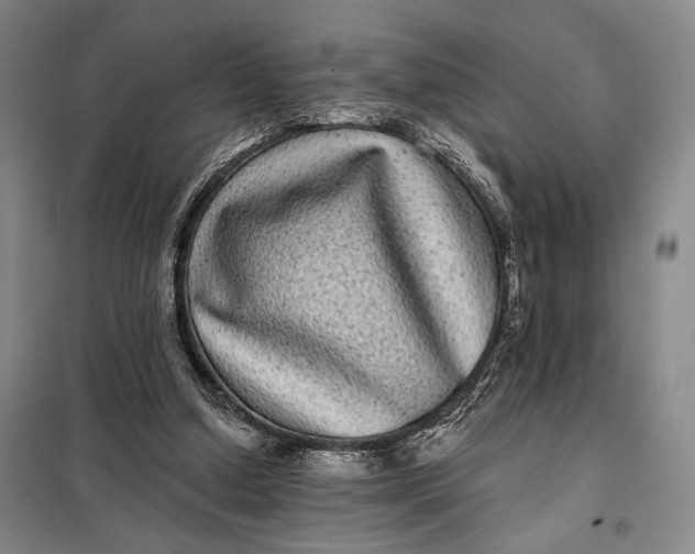 X0000098010250200804181143