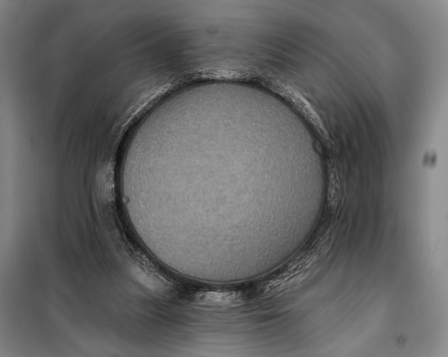 X0000098010251200804181143