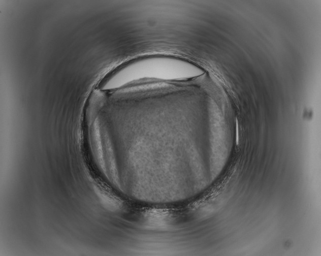 X0000098010252200804181143