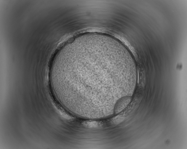 X0000098010253200804181143