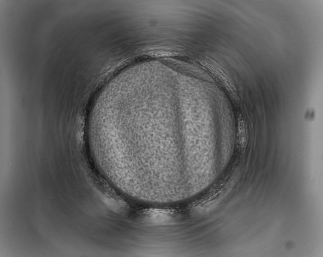 X0000098010255200804181143