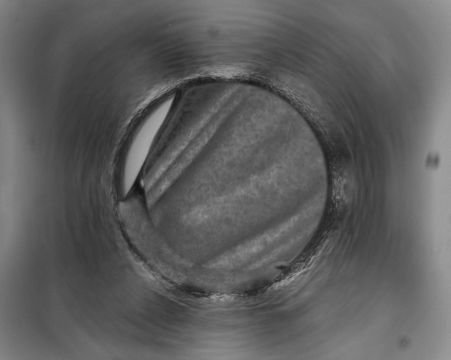 X0000098010256200804181143