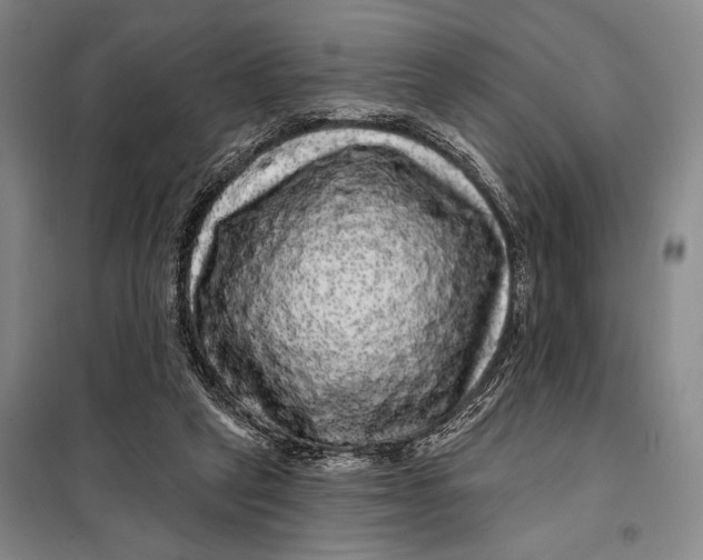 X0000098010257200804181143