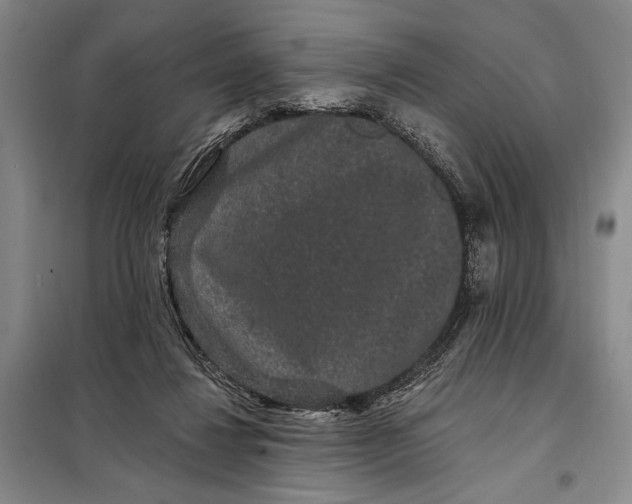 X0000098010260200804181143