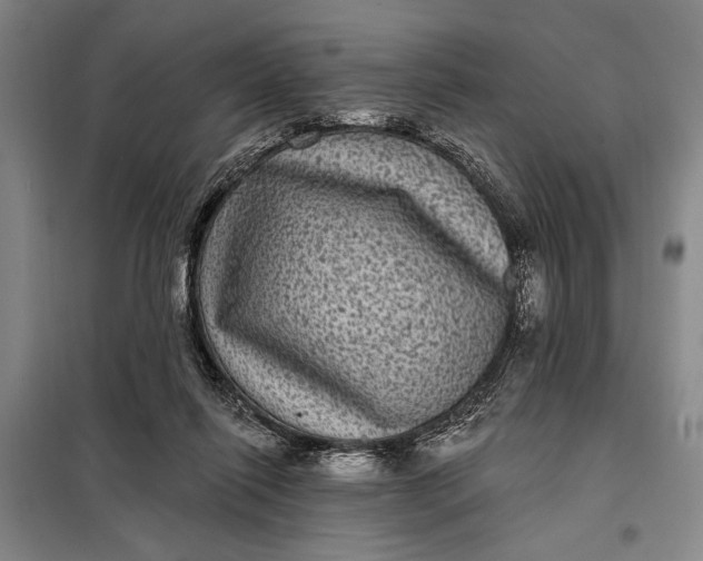 X0000098010262200804181143