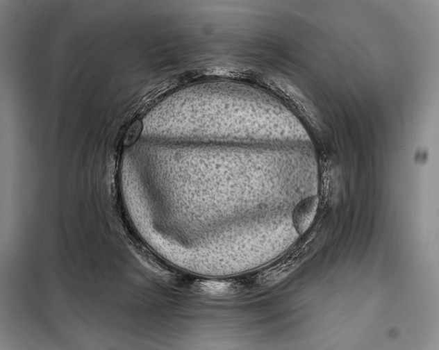 X0000098010265200804181143