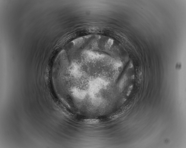 X0000098010266200804181143