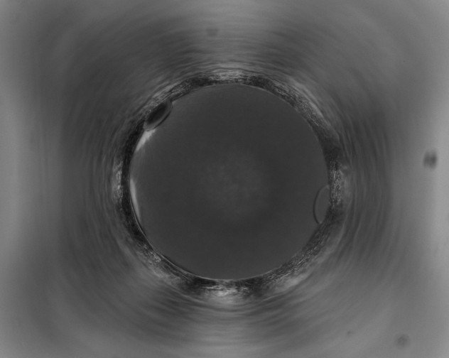 X0000098010267200804181143