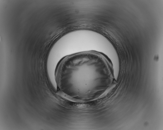 X0000098010268200804181143