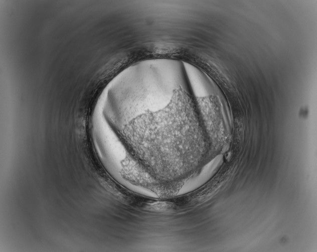 X0000098010269200804181143