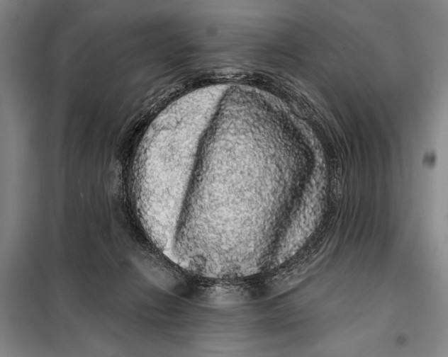 X0000098010270200804181143