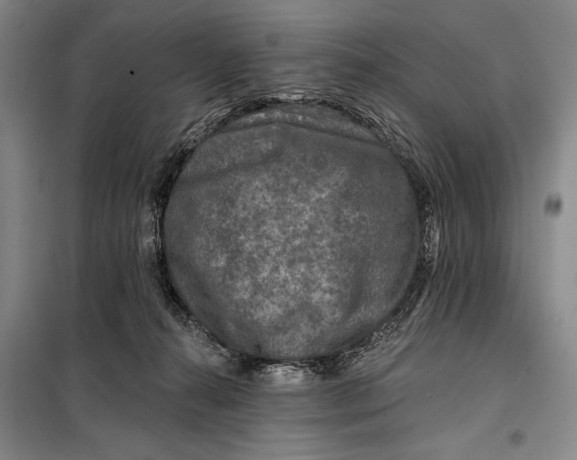 X0000098010272200804181143