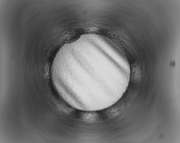 X0000098010274200804181143